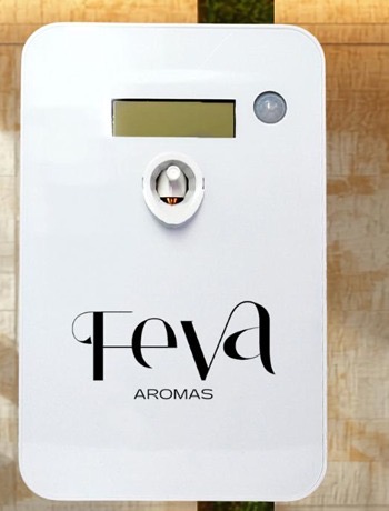 FEVA Presença 20